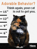 When cats rub up against their owners, it has nothing to do with affection at all, but instead is kitty's way of claiming you as its property. Research has revealed that a lot of the quirky and even cute things your kitty does are actually signs that your cat is out to get you.